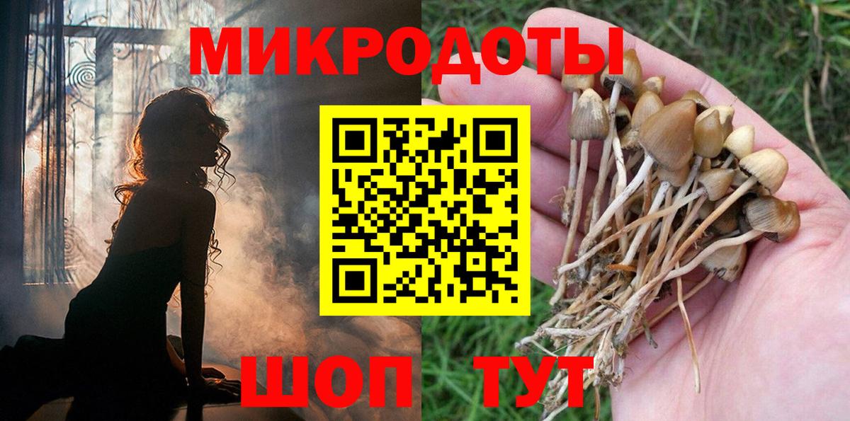 Гусиноозёрск  Псилоцибиновые грибы мицелий  купить   Галлюциногенные грибы ЛСД  Вход с VPN 