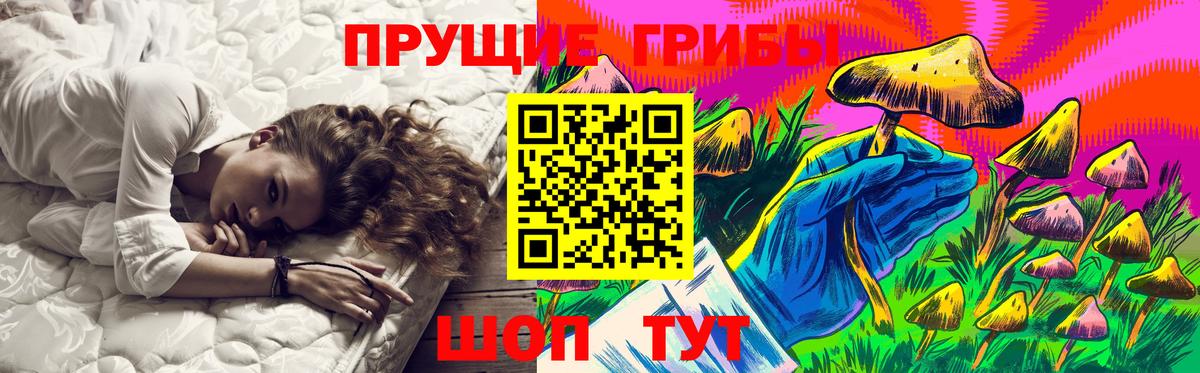 Псилоцибиновые грибы мухоморы Гусиноозёрск